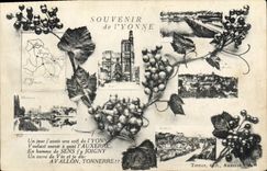 CPA Souvenir de l'Yonne 