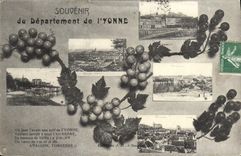 CPA Souvenir du Departement de l'Yonne 