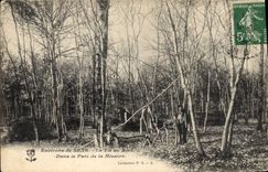 CPA Environs de Sens La Vie au Bois Dans le Parc de la Mission 
