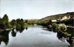 CPA Vincelottes Yonne Les Bords de l'Yonne 