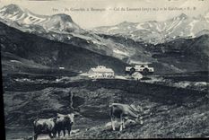 CPA De Grenoble a Briancon Col du Lautaret et le Galibier Vaches