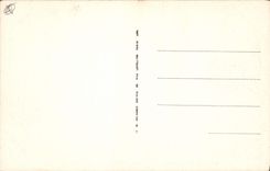 CPA Le Dauphine La Meije Chamois sur la Montagne 