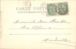 CPA Tarascon Le Chateau et le Pont de Beaucaire 