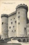 CPA Tarascon L'Entree des Tourelles du Chateau du Roi Rene 