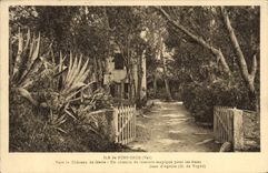 CPA Ile de Port Chos Var Vers le Chateau de feerie Un Chemin de Jumiere magique pour les Ames