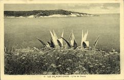 CPA Ile de Port Cros L'Ile en Fleurs 