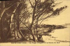 CPA Ile de Port cros La Plage d'Argent et la Pointe du Sud 