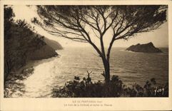 CPA Ile de Port Cros Var La Baie de la Solitude et rocher du Rascas 