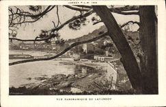 CPA Vue Panoramique du Lavandou 