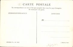 CPA Vue Panoramique du Lavandou 