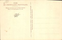 CPA Ile de Port Cros Var le Vallon de la Solitude a la grace d'un Sentier de fee l'Ile fee Claude Ba