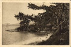 CPA Cote d'Azur les Iles d'Hyeres Var Porquerolles la Plage d'Argent 