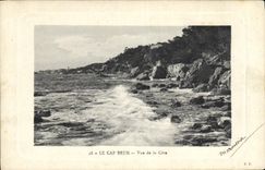 CPA Le Cap Brun vue de la Cote 