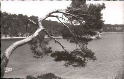 CPA Toulon Baie de Port Mejean 