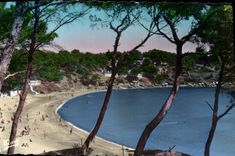 CPA Environs de la Seyne Fabregas la Plage 