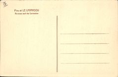 CPA Pins et le Lavandou 