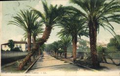 CPA Hyeres avenue Godillot 