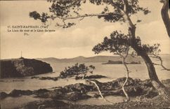 CPA Saint Raphael Var le Lion de mer et le lion de terre 