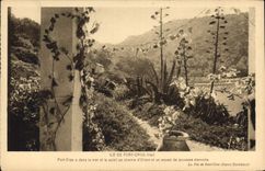 CPA Ile de Port Cros Var Port Cros a dans la mer et le Soleil un Charme d'Orient et un aspect de jeu