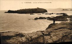 CPA St Raphael Le Lion de Terre et le Lion de Mer 