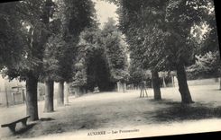 CPA Auxerre Les Promenades 