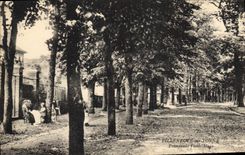 CPA Villeneuve sur Yonne Promenade Victor Hugo 