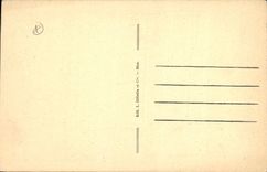 CPA Environs de Peira Cava A M Foret de Turini 