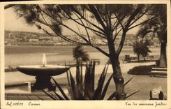 CPA Cannes Vue des Nouveaux Jardins 