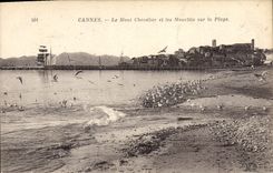 CPA Cannes Le Mont Chevalier et les Mouettes sur la Plage 