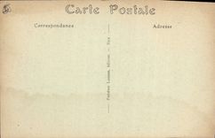 CPA Nice Une Allee de Palmiers au Chateau 