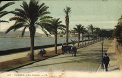 CPA Cannes La Croisette 