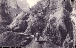 CPA Route des Alpes Gorges superieures du Cians Caleche Cheval