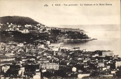 CPA Nice Vue generale Le Chateau et le Mont Boron 