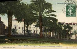CPA Nice Groupe de Palmiers nouveaux Jardins 