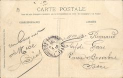 CPA Nice Groupe de Palmiers nouveaux Jardins