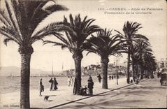 CPA Cannes Allee de Plamiers Promenade de la Croisette 