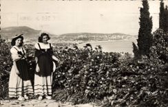 CPA La Cote d'Azur Nice ses Jardins 