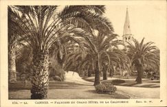 CPA Cannes Palmiers du Grand Hotel de la Californie 