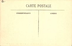 CPA Cannes Palmiers du Grand Hotel de la Californie