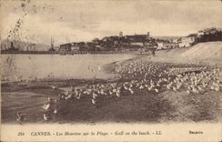 CPA Cannes Les Mouettes sur la Plage 