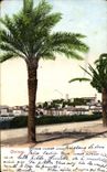 CPA Cannes Croisette 