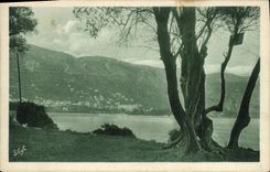 CPA Beaulieu A travers les Olivers du Cap Ferrat 