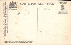 CPA Beaulieu A travers les Olivers du Cap Ferrat