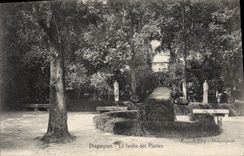 CPA Draguignan Le Jardin des Plantes 