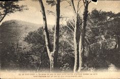 CPA Ile de Port Cros 