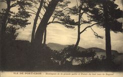 CPA Ile de Port Cros Montagnes de la grande galile et Pointe de Sud vues de Baduud 