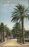 CPA Hyeres les Palmiers La Fontaine et l'Avenue Alexia Godillot 