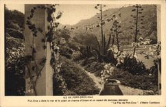 CPA Ile de Port Cros Var Port Cros a dans le mer et le soleil un charme d'Orient en un aspect de jeu