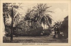CPA Chateu Cordion Allee des Palmiers 