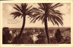 CPA Hyeres Palmiers de l'Avenue des Iles d'Or et vue sur les iles 